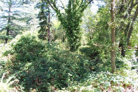 13078 Cherry Rd, Wilton, CA 95693 photo 53