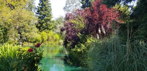 13078 Cherry Rd, Wilton, CA 95693 photo 59