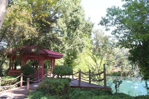 13078 Cherry Rd, Wilton, CA 95693 photo 46