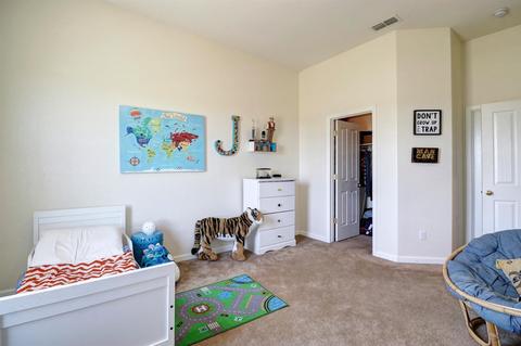 9570 Stablegate Rd, Wilton, CA 95693 photo 42