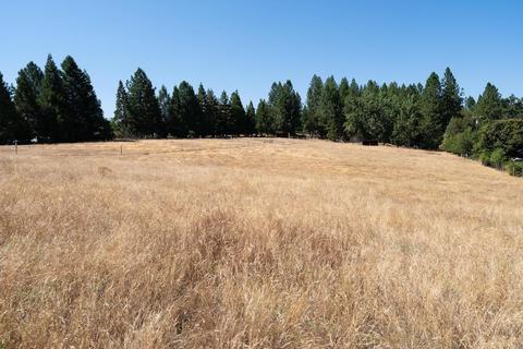 19445 Charleston Rd, Volcano, CA 95689 photo 28
