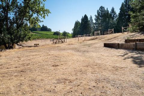 19445 Charleston Rd, Volcano, CA 95689 photo 23