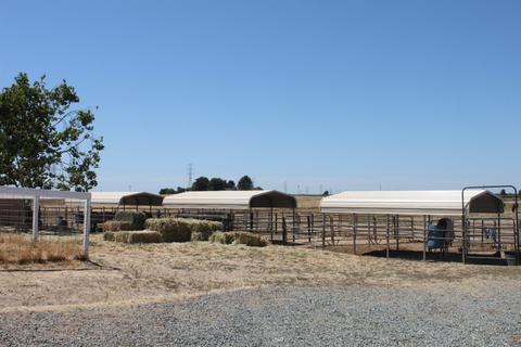 19823 Harney, Linden, CA 95236 photo 21