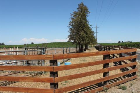 19823 Harney, Linden, CA 95236 photo 25