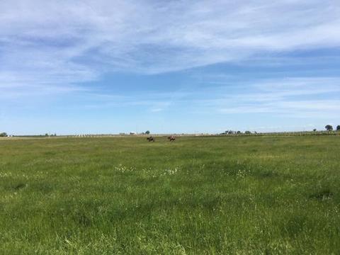 19823 Harney, Linden, CA 95236 photo 29