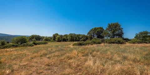 22309 Meyer Ravine Rd, Grass Valley, CA 95949 photo 5