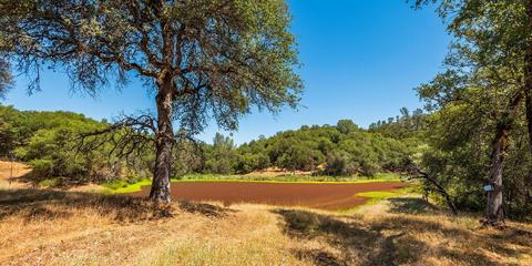22309 Meyer Ravine Rd, Grass Valley, CA 95949 photo 7