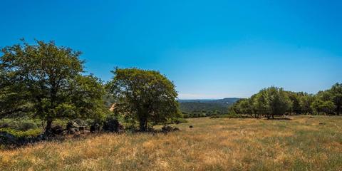 22309 Meyer Ravine Rd, Grass Valley, CA 95949 photo 8