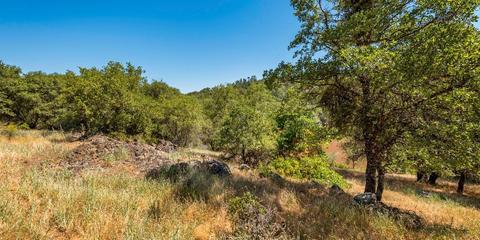 22309 Meyer Ravine Rd, Grass Valley, CA 95949 photo 6