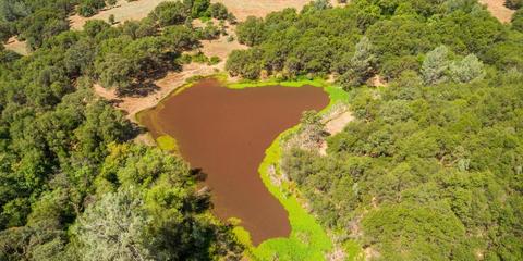 22309 Meyer Ravine Rd, Grass Valley, CA 95949 photo 21