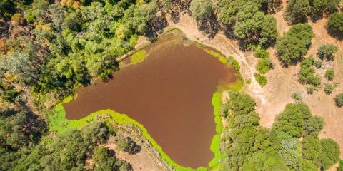 22309 Meyer Ravine Rd, Grass Valley, CA 95949 photo 23