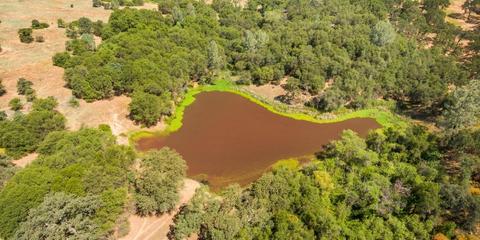 22309 Meyer Ravine Rd, Grass Valley, CA 95949 photo 20