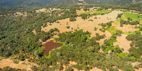 22309 Meyer Ravine Rd, Grass Valley, CA 95949 photo 17