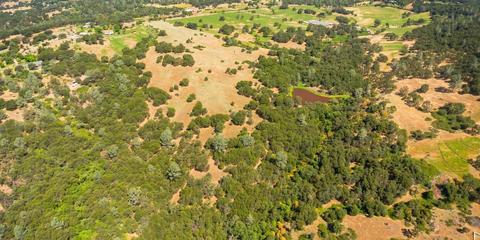22309 Meyer Ravine Rd, Grass Valley, CA 95949 photo 18