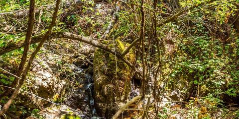 22309 Meyer Ravine Rd, Grass Valley, CA 95949 photo 9