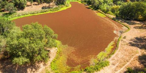 22309 Meyer Ravine Rd, Grass Valley, CA 95949 photo 24