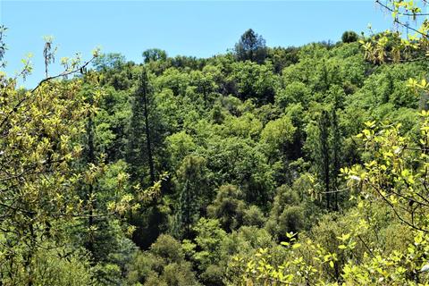 375 N Arbona Cir, Sonora, CA 95370 photo 22
