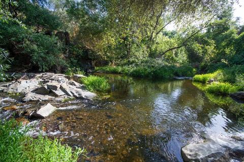 1880 Cold Springs Rd, Placerville, CA 95667 photo 41