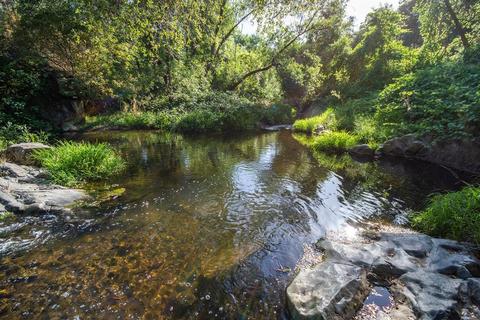 1880 Cold Springs Rd, Placerville, CA 95667 photo 48