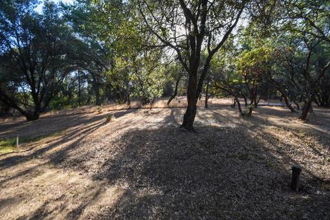 1880 Cold Springs Rd, Placerville, CA 95667 photo 46