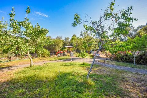 1880 Cold Springs Rd, Placerville, CA 95667 photo 55