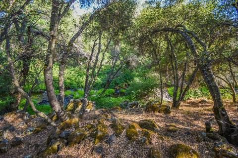 1880 Cold Springs Rd, Placerville, CA 95667 photo 61