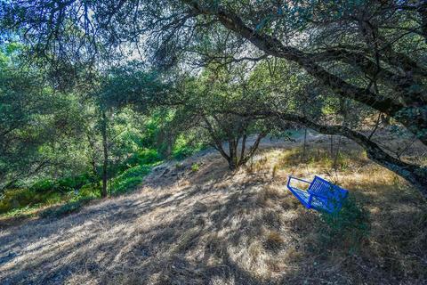 1880 Cold Springs Rd, Placerville, CA 95667 photo 47