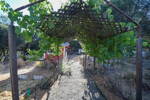 1880 Cold Springs Rd, Placerville, CA 95667 photo 37