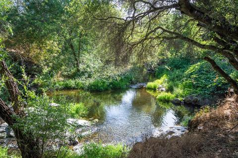 1880 Cold Springs Rd, Placerville, CA 95667 photo 39