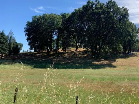 33 Stanley Rd, West Point, CA 95255 photo 6