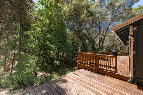 12635 Garbo Ln, Pine Grove, CA 95665 photo 42