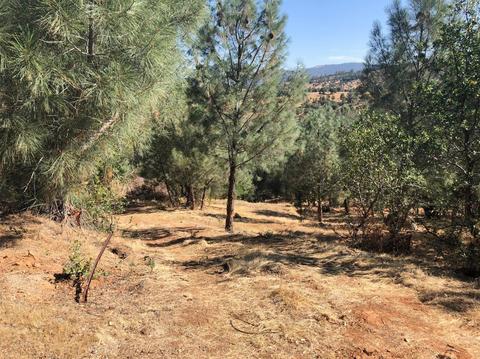 232 Pinon Dr, Copperopolis, CA 95228 photo 1