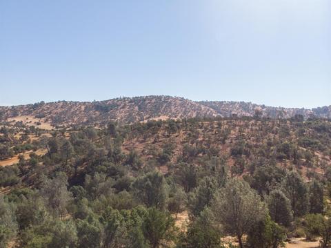 232 Pinon Dr, Copperopolis, CA 95228 photo 4