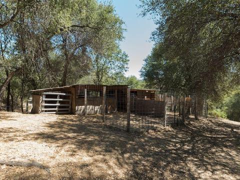 600 Old Orchard Rd, Placerville, CA 95667 photo 12