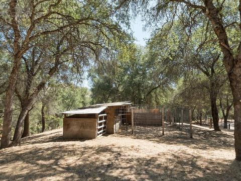 600 Old Orchard Rd, Placerville, CA 95667 photo 11