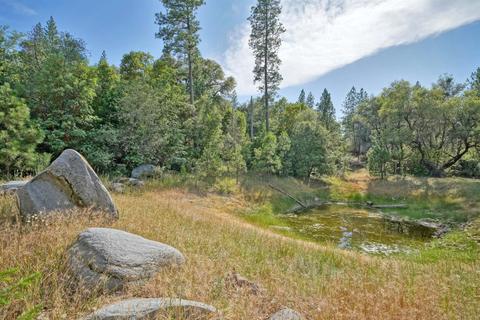 2737 La Paz Rd, Placerville, CA 95667 photo 8
