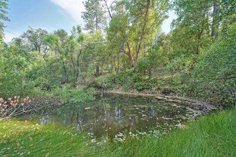 2737 La Paz Rd, Placerville, CA 95667 photo 7