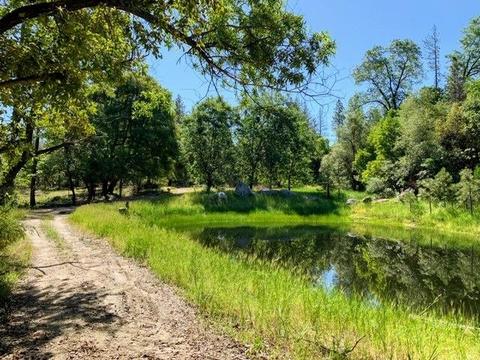 2737 La Paz Rd, Placerville, CA 95667 photo 6