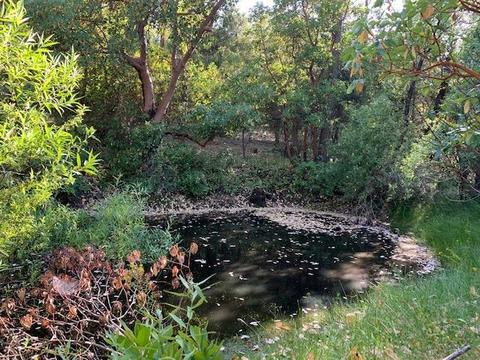 2737 La Paz Rd, Placerville, CA 95667 photo 9