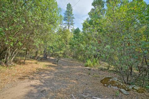2737 La Paz Rd, Placerville, CA 95667 photo 16
