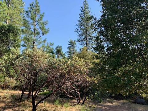 2737 La Paz Rd, Placerville, CA 95667 photo 19