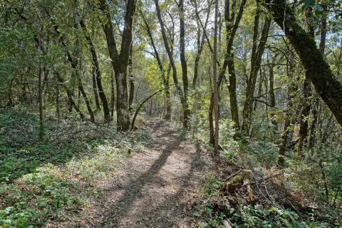 2737 La Paz Rd, Placerville, CA 95667 photo 17