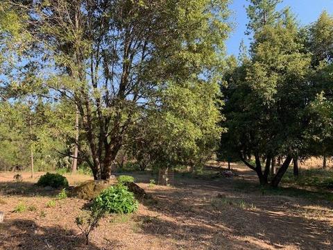 2737 La Paz Rd, Placerville, CA 95667 photo 12