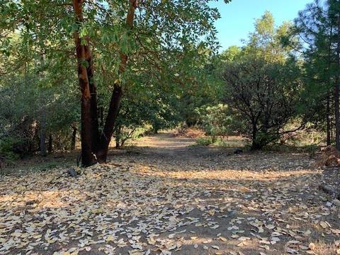 2737 La Paz Rd, Placerville, CA 95667 photo 10