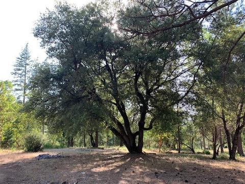 2737 La Paz Rd, Placerville, CA 95667 photo 20
