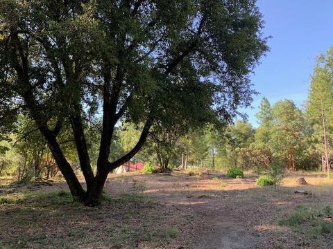 2737 La Paz Rd, Placerville, CA 95667 photo 11