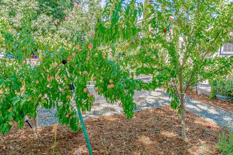 2509 Regis Dr, Davis, CA 95618 photo 20