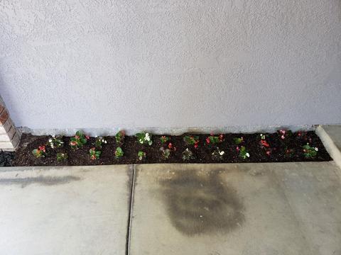 4037 Gagos Dr, Modesto, CA 95356 photo 7
