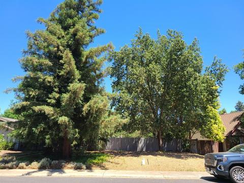 1246 Torrey St, Davis, CA 95618 photo 1