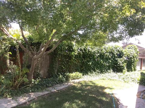 1336 N Pointe Pl, Modesto, CA 95355 photo 31
